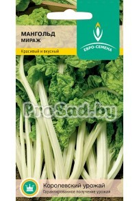 Мангольд Мираж