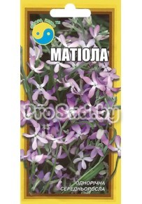 Маттиола однолетняя