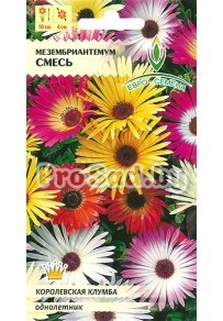 Мезембриантемум Смесь