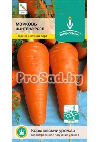 Морковь Шантенэ Роял