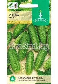 ​Огурец Аист