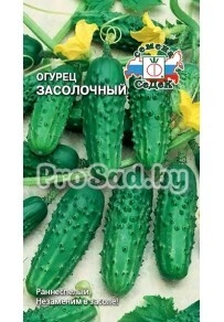 Огурец Засолочный