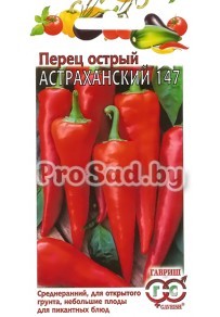 Перец острый Астраханский 147