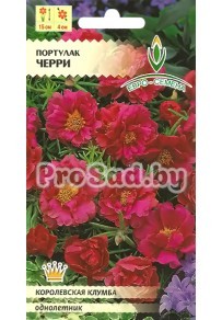 Портулак крупноцветковый Черри
