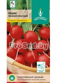 Редис ранний Красный