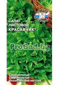 Салат листовой Красавчик