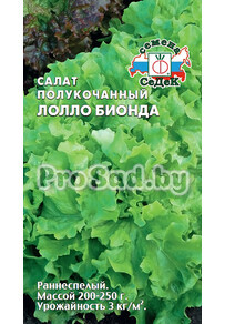 Салат полукочанный Лолло Бионда