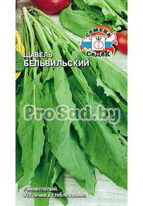 Щавель Бельвильский