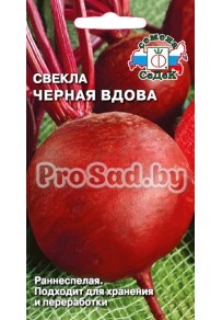 Свекла столовая Чёрная вдова