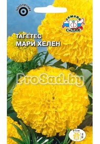 Тагетес Мари Хелен
