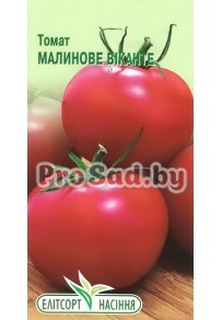 Томат Малиновое виконте
