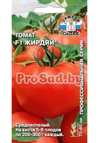 Томат F1 Жирдяй