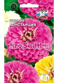 Цинния георгиновидная Констанция