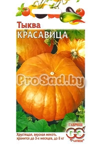 Тыква Красавица
