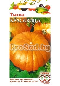 Тыква Красавица
