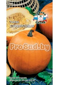 Тыква Стофунтовая