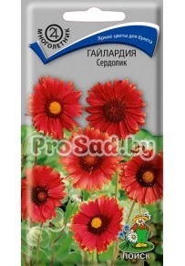 Гайлардия Сердолик
