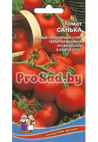 Томат Санька