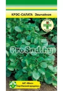 Кресс-салат Обыкновенный