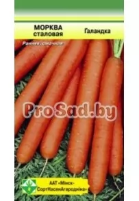 Морковь Голландка (Германия)