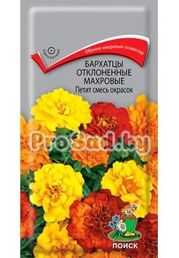 Бархатцы отклонённые махровые Петит смесь окрасок