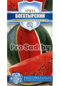 Арбуз Богатырский