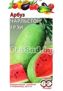 Арбуз Чарльстон грей