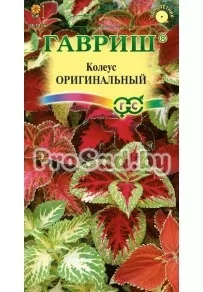 Колеус Блюме Оригинальный, смесь