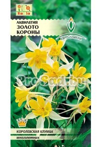 Аквилегия Золото короны