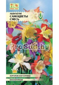Аквилегия Самоцветы смесь