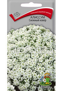 Алиссум Снежный ковер
