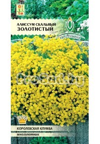 Алиссум скальный Золотистый