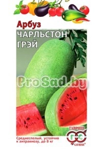 Арбуз Чарльстон грей