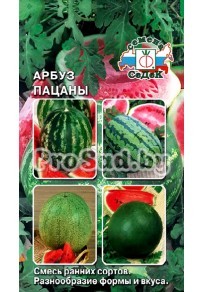 Арбуз Пацаны