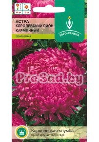 Астра Королевский Пион карминный