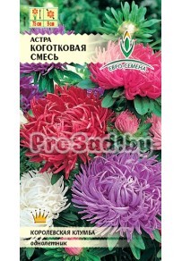 Астра Коготковая, смесь