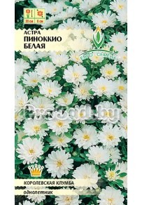 Астра Пиноккио белая