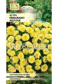 Астра Пиноккио жёлтая