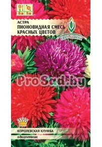 Астра Пионовидная Смесь красных цветов