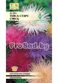 Астра Тейса старс, смесь