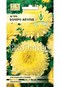 Астра (китайская) Болеро желтая