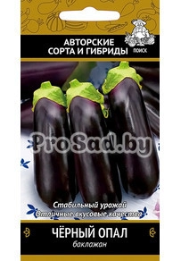 Баклажан Чёрный опал
