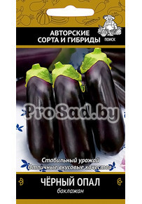 Баклажан Чёрный опал