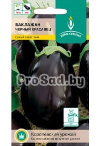 Баклажан Чёрный красавец
