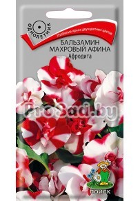 Бальзамин махровый Афина Афродита