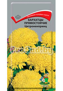 Бархатцы прямостоячие Цитроненпринц