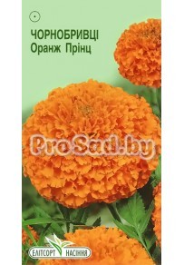 Бархатцы прямостоячие Оранж Принц