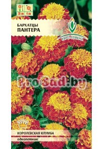 Бархатцы отклоненные Пантера