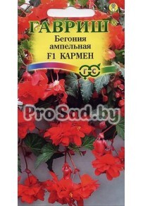 Бегония ампельная F1 Кармен