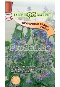 Бораго (Огуречная трава) Гном